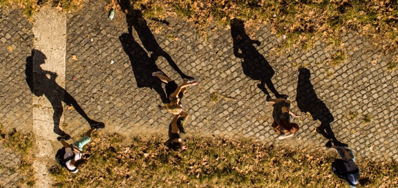 shadows of people walking on a path